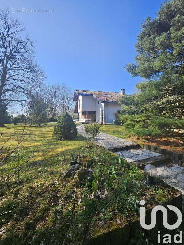 Photo 5 - Maison à SORT-EN-CHALOSSE