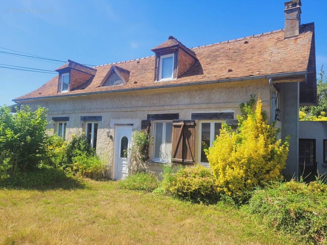 Maison ancienne avec dépendance à vendre à Villette - Maison à VILLETTES