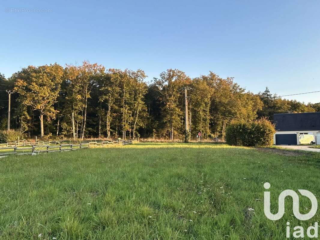 Photo 2 - Terrain à CHAUMONT-SUR-LOIRE