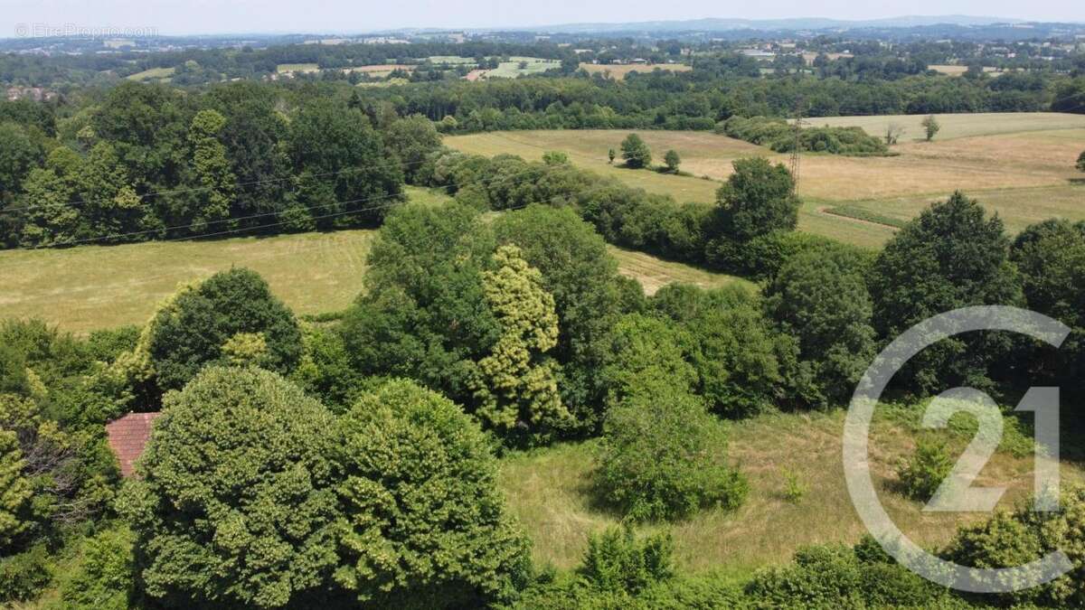 Terrain à VICQ-SUR-BREUILH