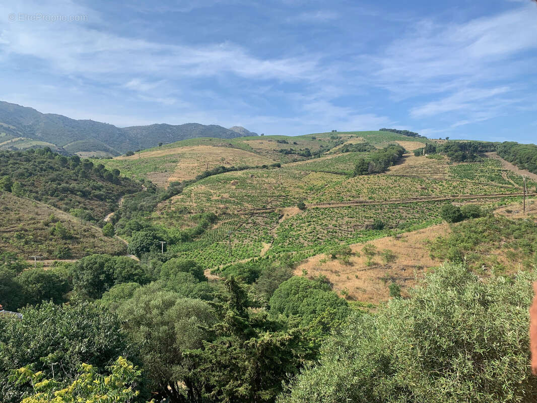 Maison à BANYULS-SUR-MER