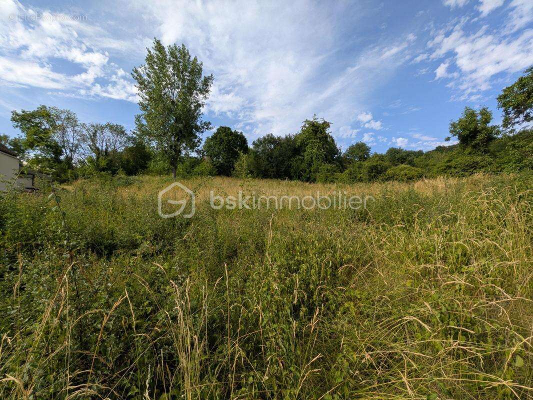 Terrain constructible à Champillon - photo 2