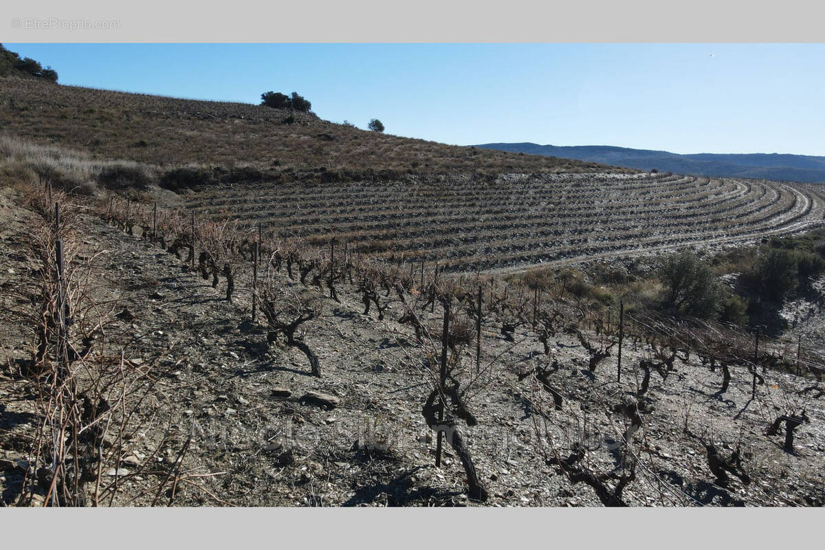 Terrain à RASIGUERES
