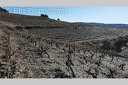 Terrain à RASIGUERES