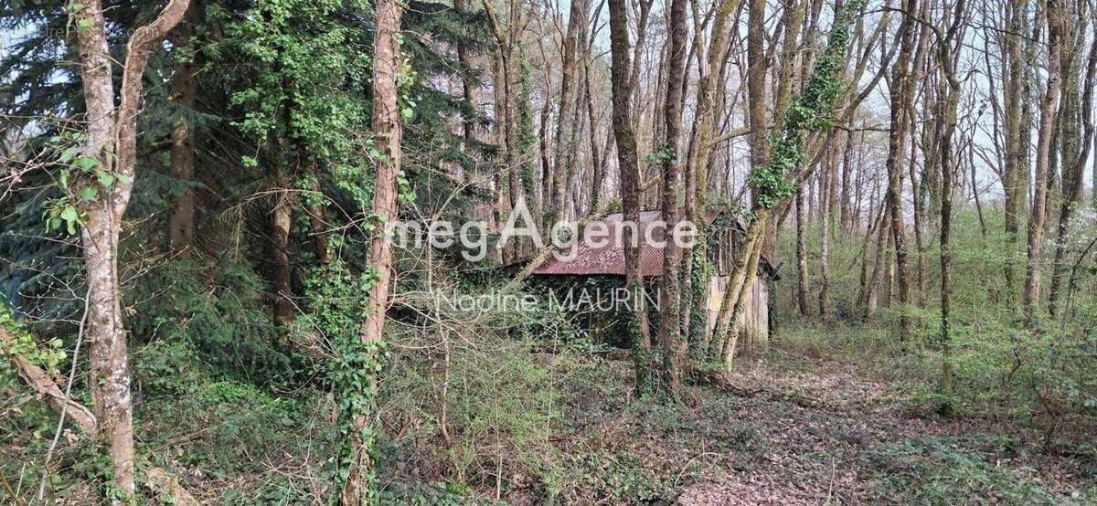 Maison à MUR-DE-SOLOGNE