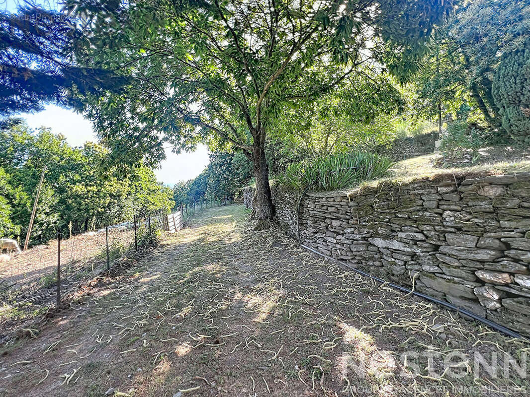 Mas cévenol de caractère avec 22 hectares, pierre sèche et vues panoramiques ? Saint Germain de Calberte - photo 15