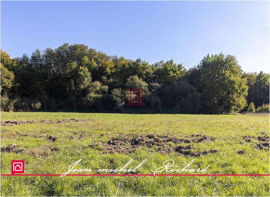 Propriété de chasse Sologne 42 hectares - photo 12