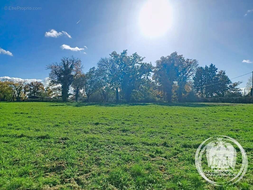 Terrain à LAPALISSE
