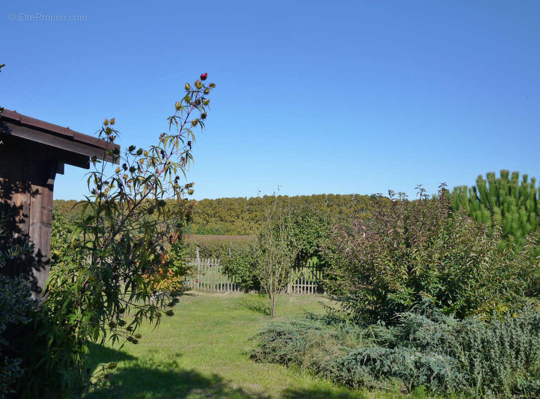 Maison à BUZET-SUR-BAISE
