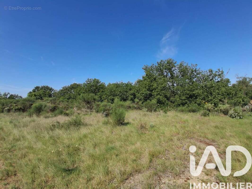 Photo 8 - Terrain à BROUILLA