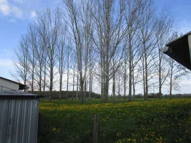 Maison à VARENNES-SUR-ALLIER