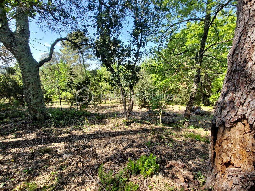Terrain à LES ADRETS-DE-L&#039;ESTEREL