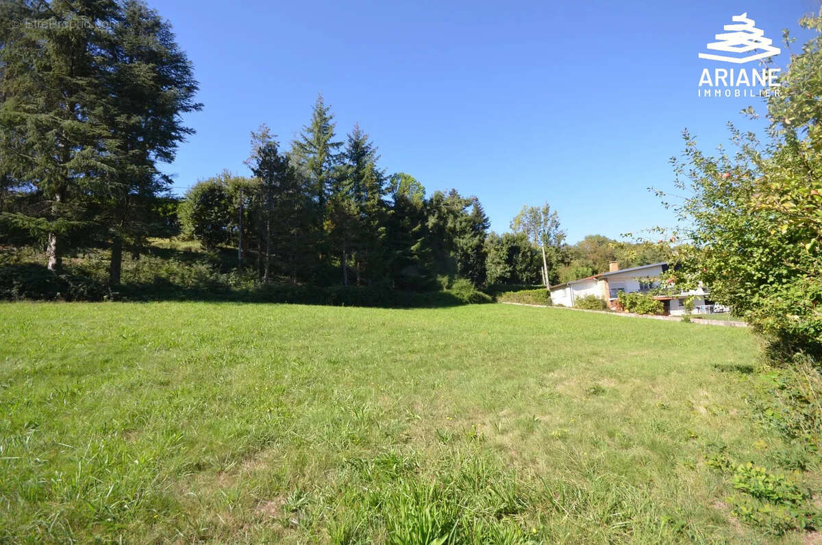 Terrain à viabiliser- 2500 m2 constructible - vente en 1 lot - photo 5