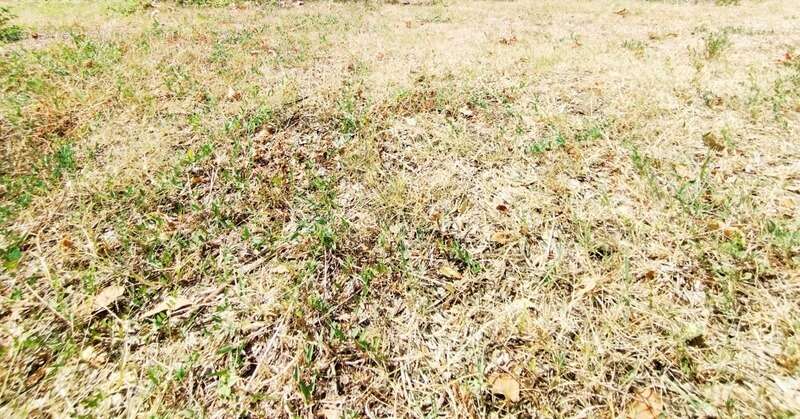 Terrain à MONTPELLIER