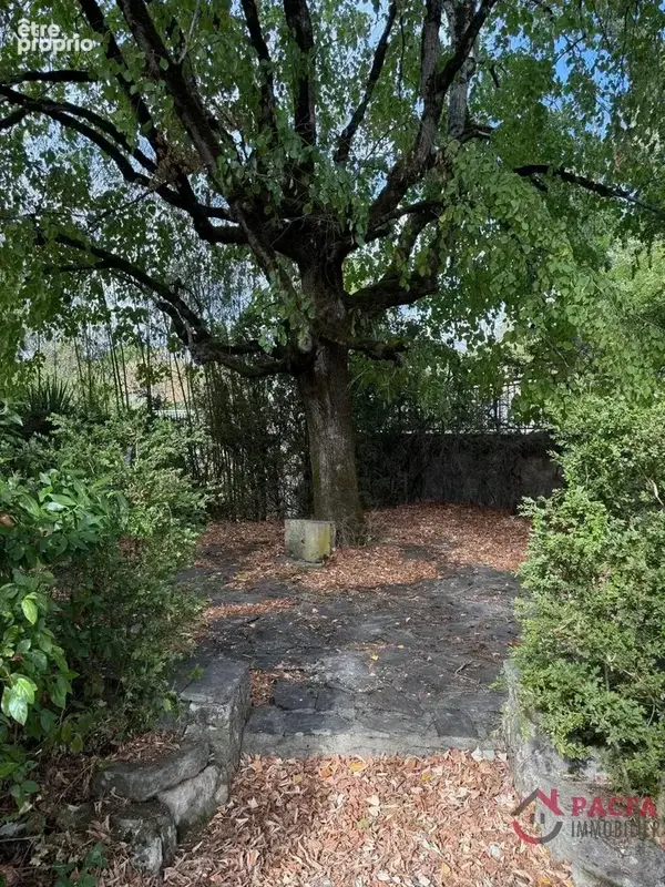 Plateau St Jean - maison individuelle avec grand terrain - photo 18