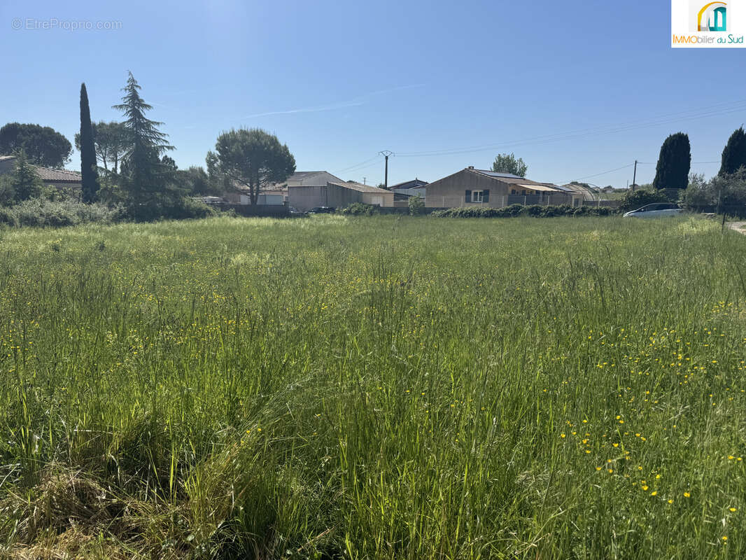 Terrain à LEZAN