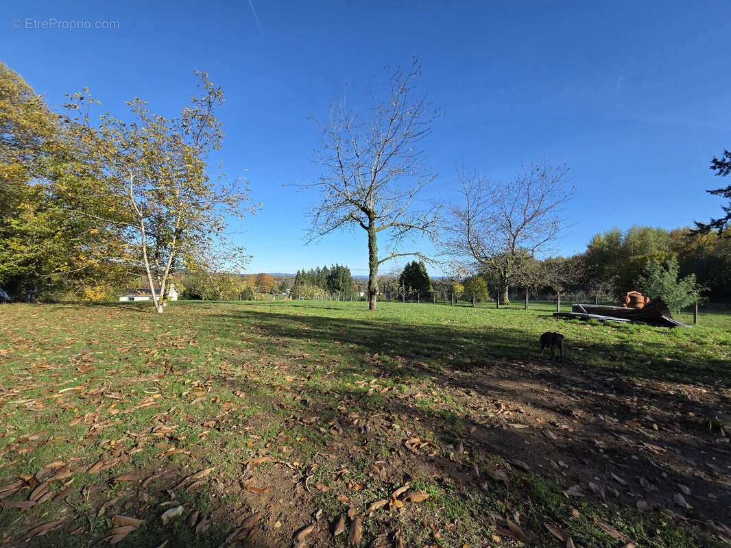 Photo 7 - Maison à AMBAZAC