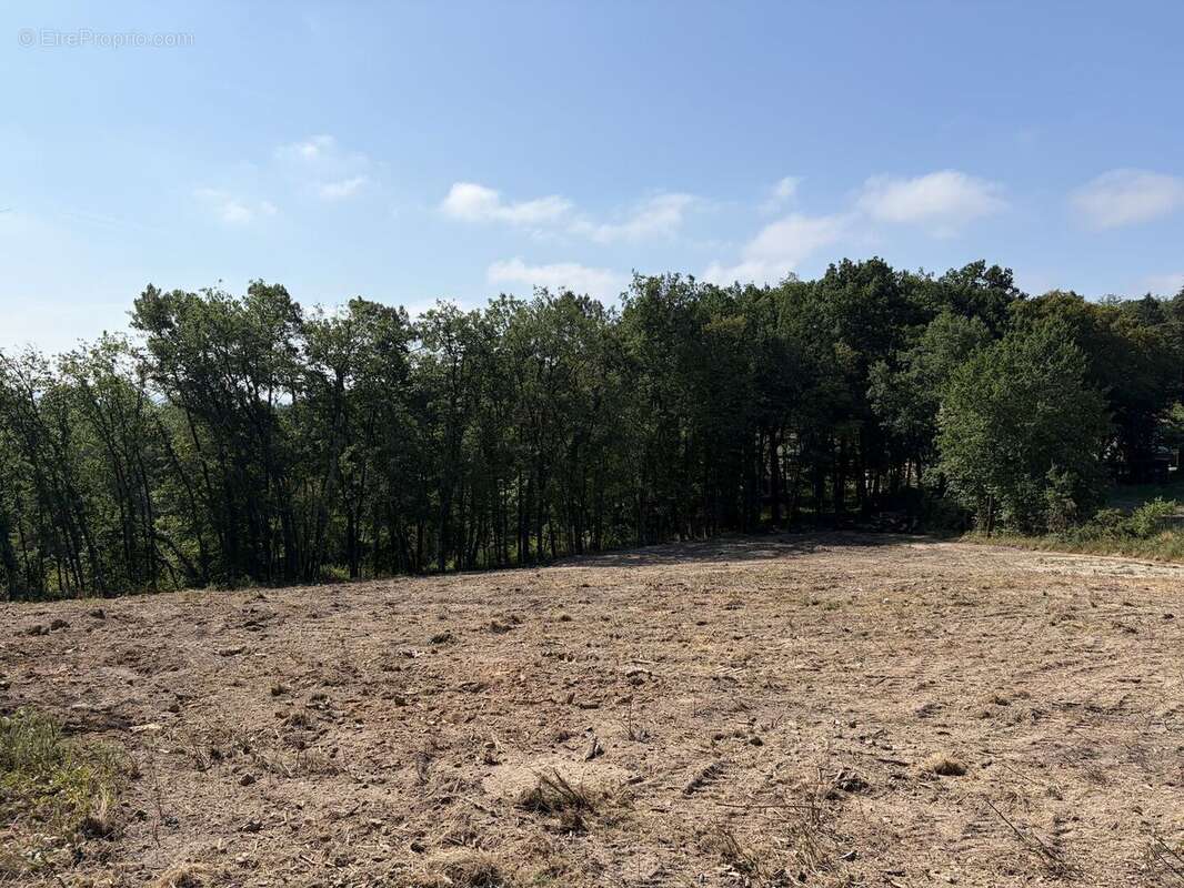 Terrain constructible à vendre à Trélissac, 2.376m², dont environ 2000 m2 de constructible - photo 5