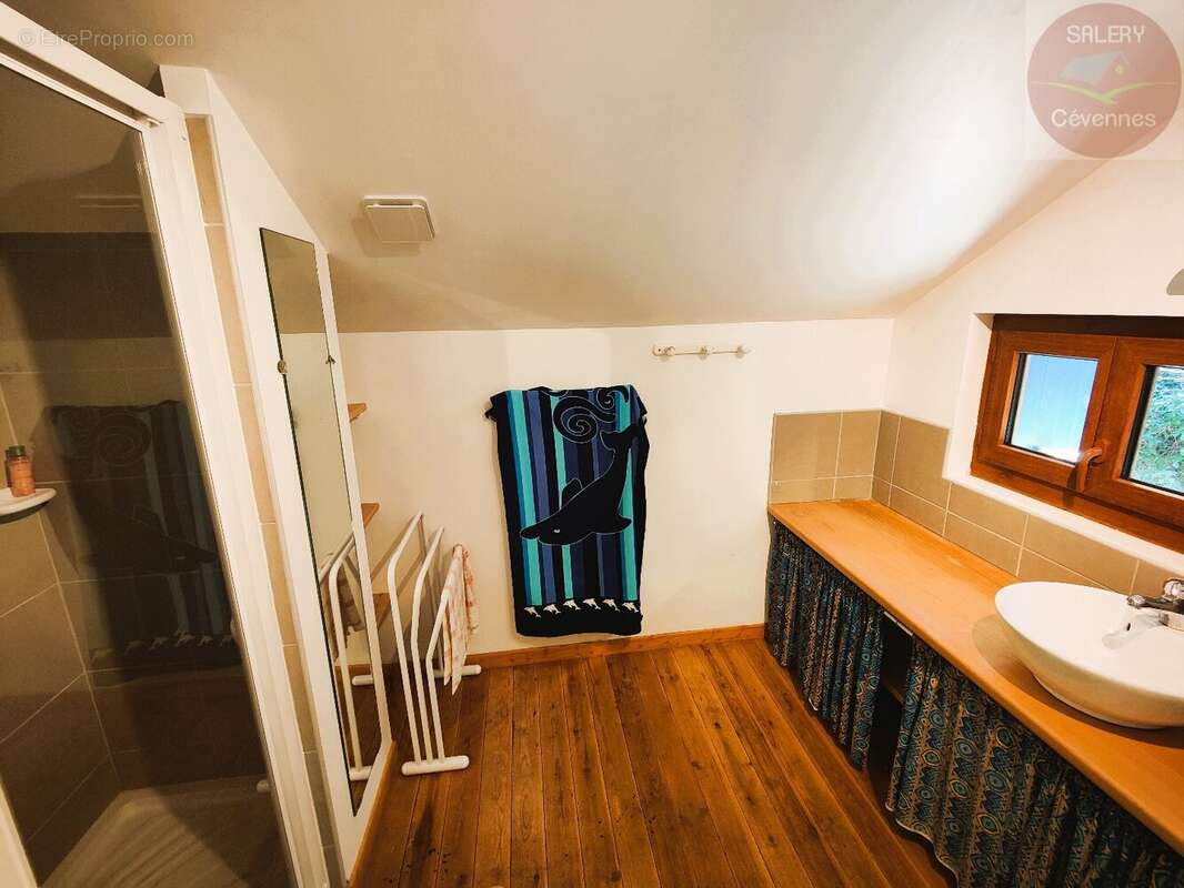 Maison à SAINT-ANDRE-DE-VALBORGNE