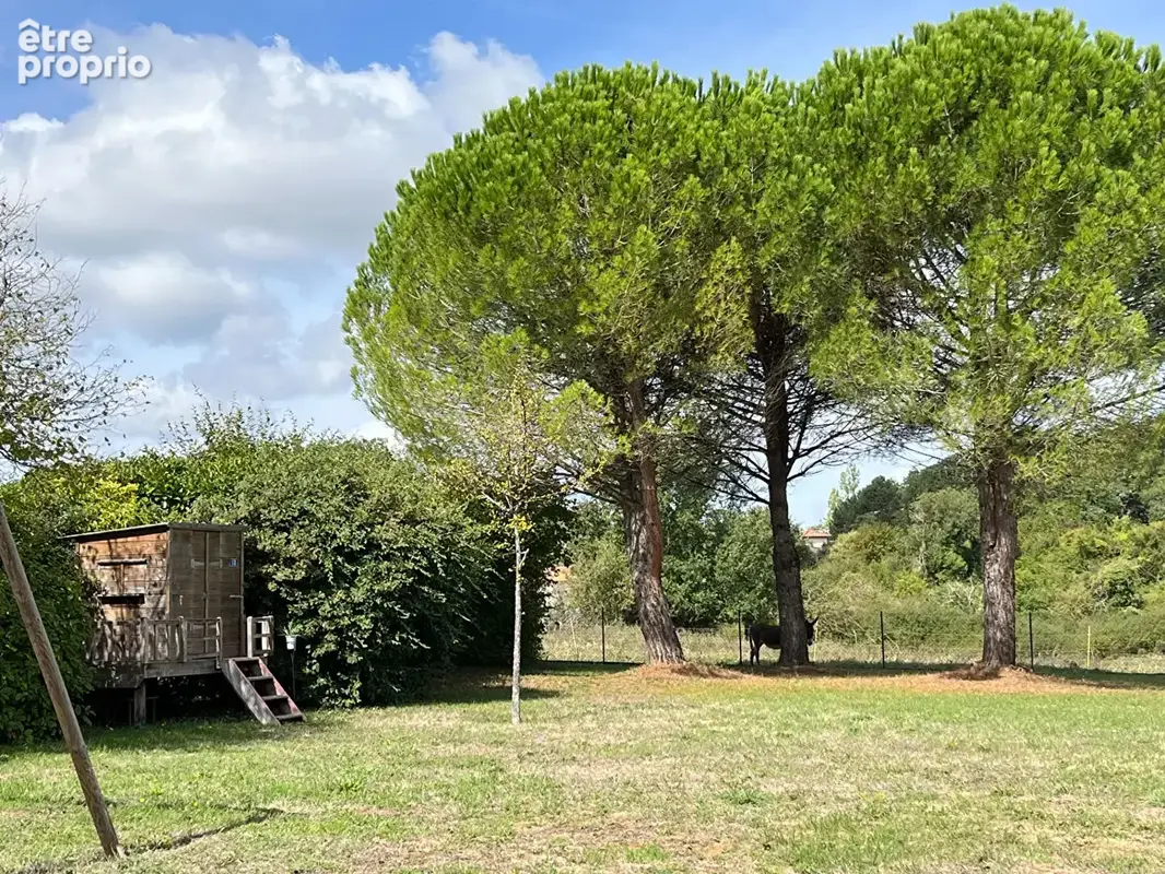SAINT-BENOÎT - Maison 168 m², 5 chambres, terrain 3 095 m² - photo 5