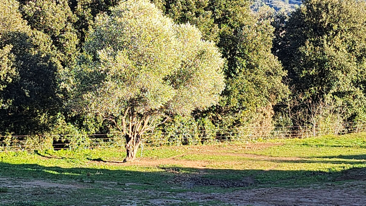 Sous compromis carros les plans residentiel: joli terrain a batir de 800m2 environ, vue degagee sur les collin - photo 5