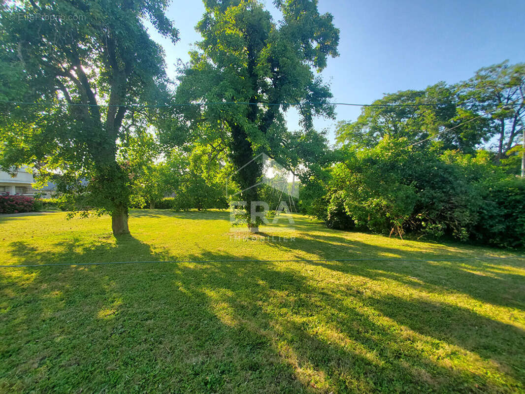 Terrain à LES GRANGES-LE-ROI