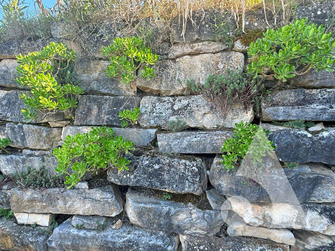 Maison à LA ROQUE-GAGEAC