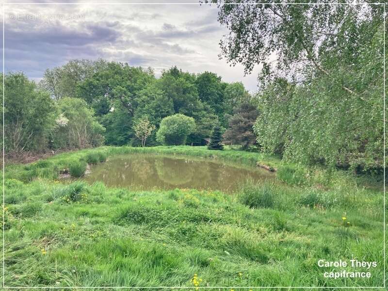 Dpt Creuse (23), à vendre à Colondannes cinq maisons ossature bois - Terrain 1,10 ha - photo 8