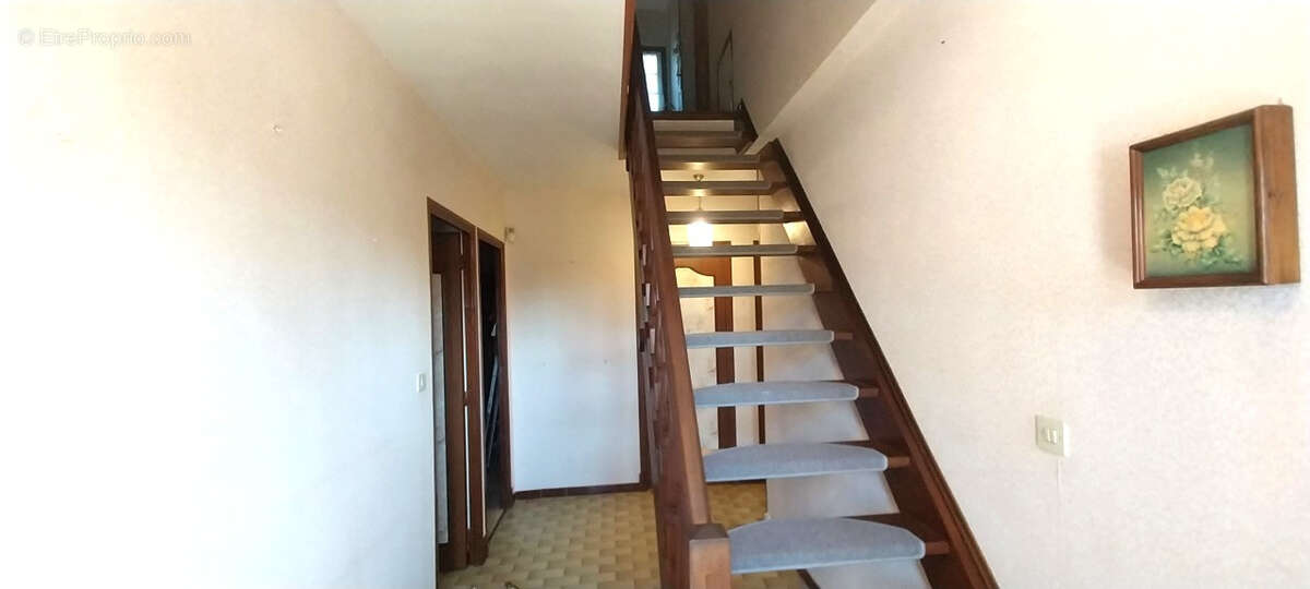 Villa Salles D'Aude - photo 15