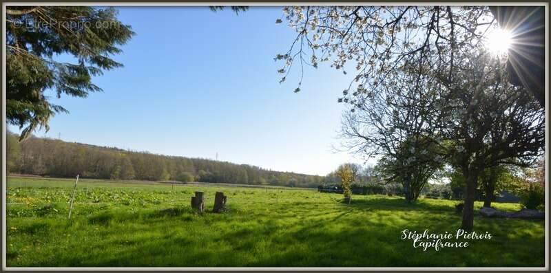Maison à IVOY-LE-PRE