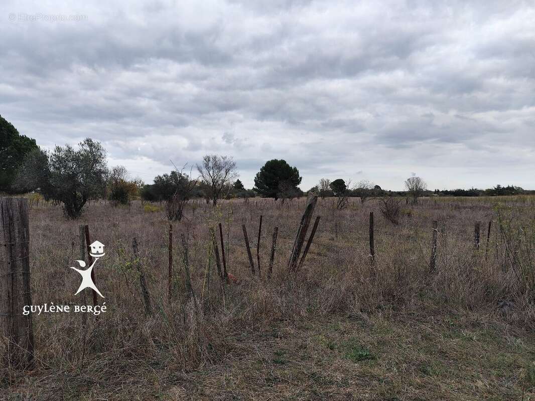 Terrain à AIMARGUES