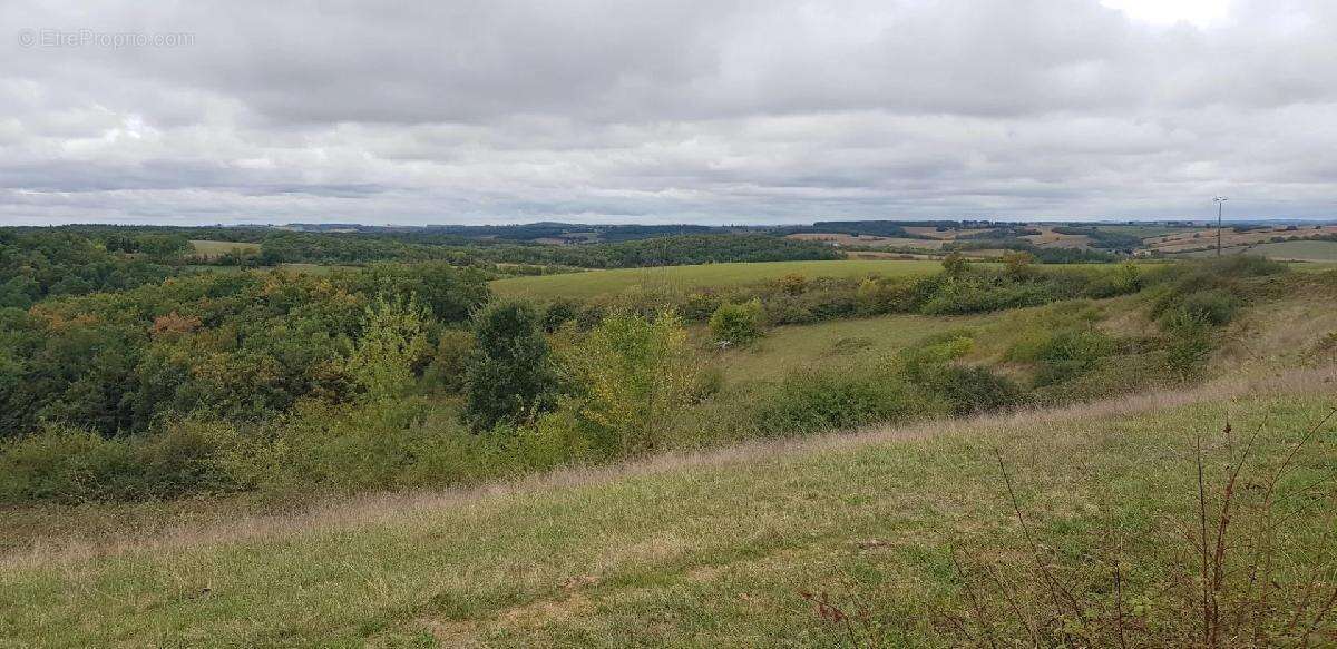 Terrain à ORDAN-LARROQUE