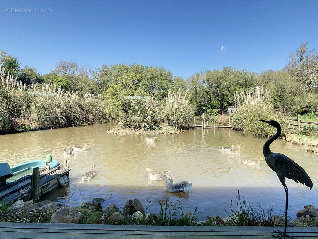 Maison à LA HAYE-D&#039;ECTOT