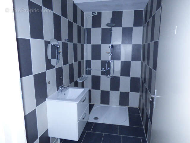 Appartement T3 LUNEVILLE Château. - photo 11