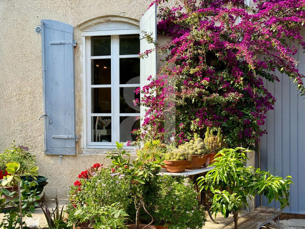Maison à SAINT-REMY-DE-PROVENCE