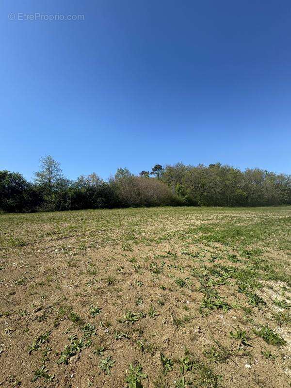 Terrain à MONESTIER