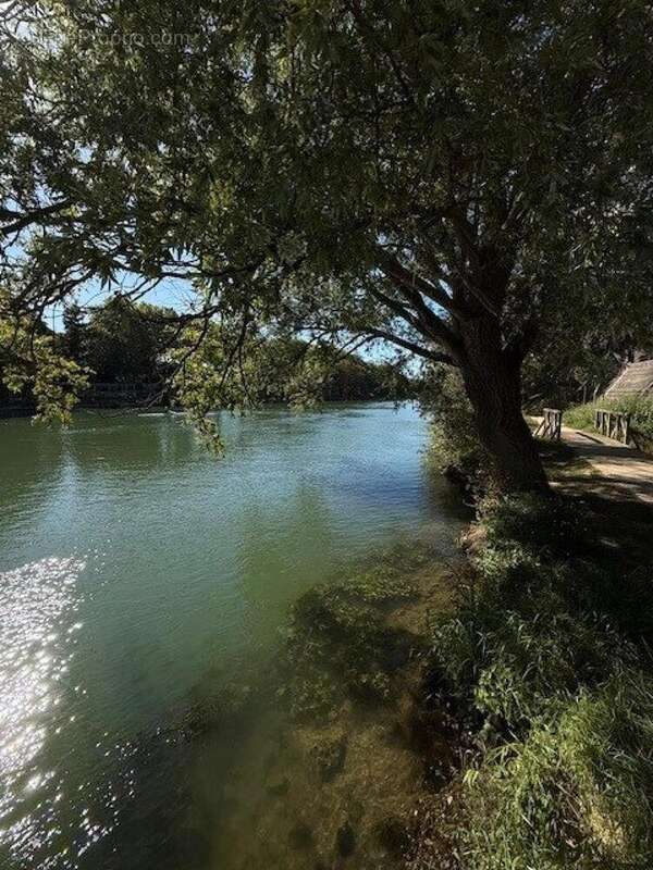 Photo 5 - Maison à CHAMPIGNY-SUR-MARNE