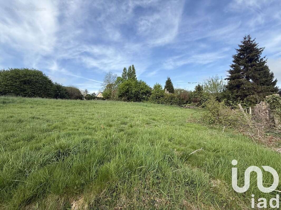 Photo 2 - Terrain à SAINT-GEORGES-DU-VIEVRE