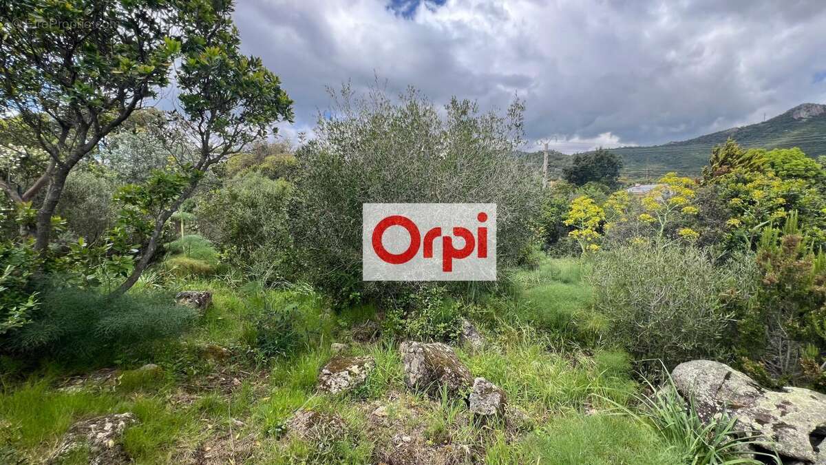 A vendre Terrain Constructible avec permis. Ste Lucie de Porto-Vecchio - photo 2