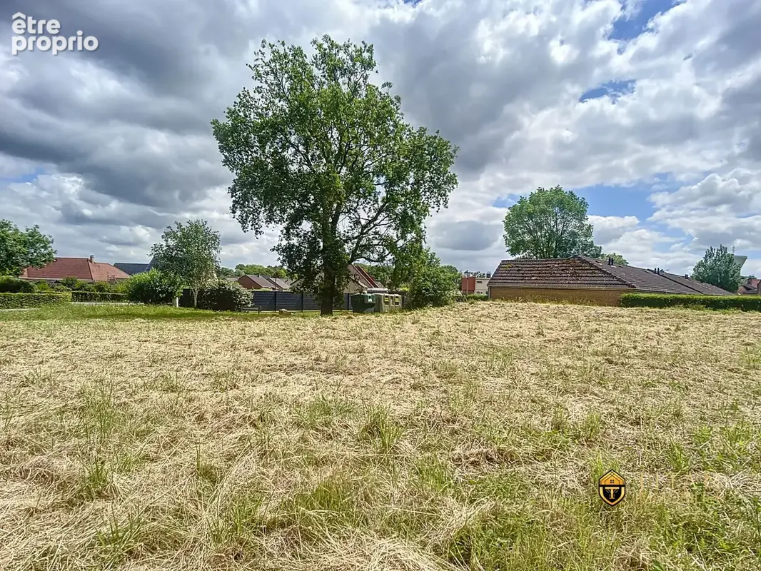 Terrain à bâtir Rexpoëde - Titan Immobilier - Terrain à REXPOEDE