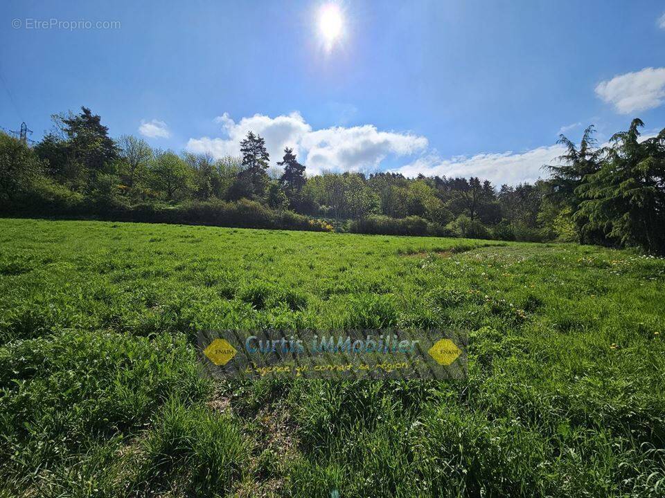 Terrain à LE CHAMBON-FEUGEROLLES