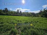 Terrain à LE CHAMBON-FEUGEROLLES