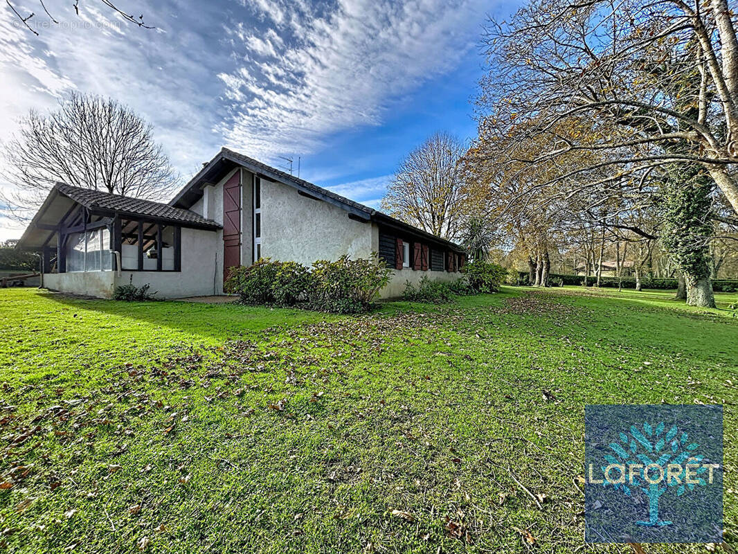 Maison à SAINT-GEOURS-DE-MAREMNE