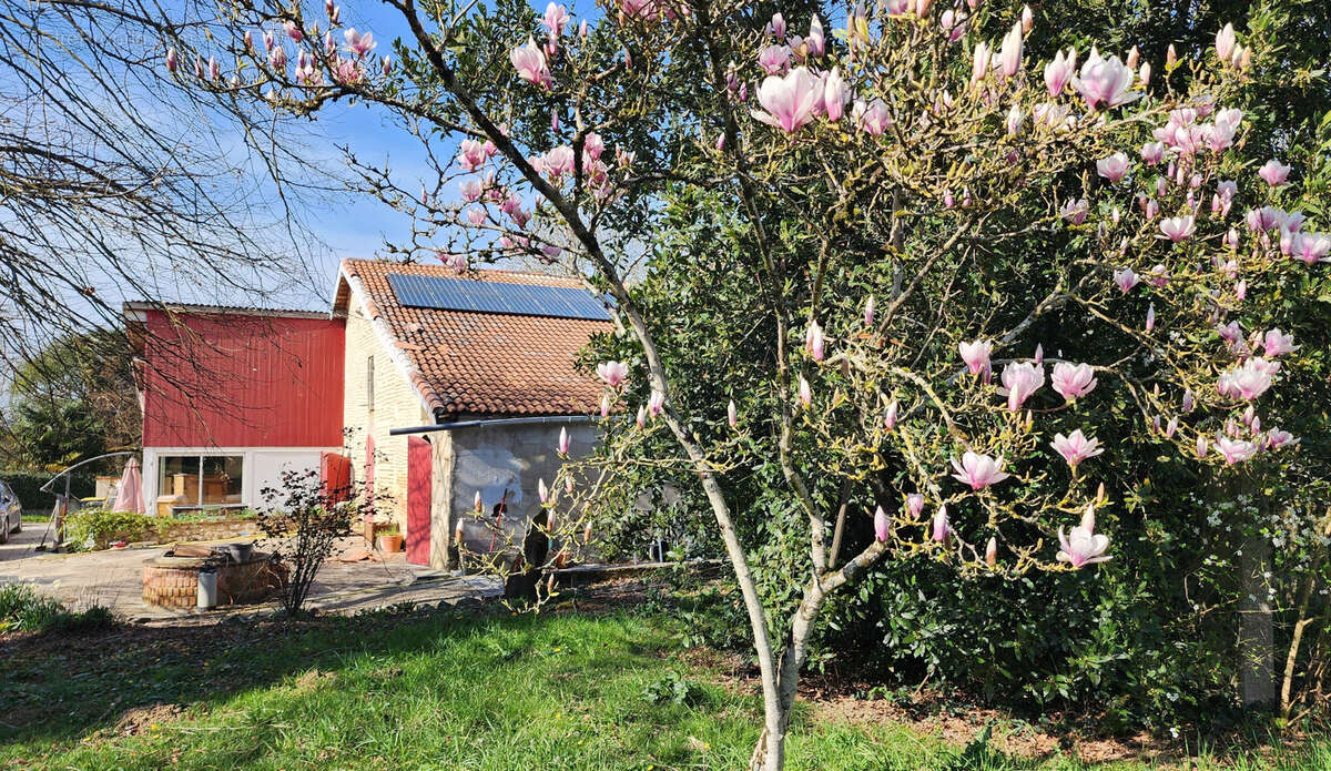 Maison à TONNEINS
