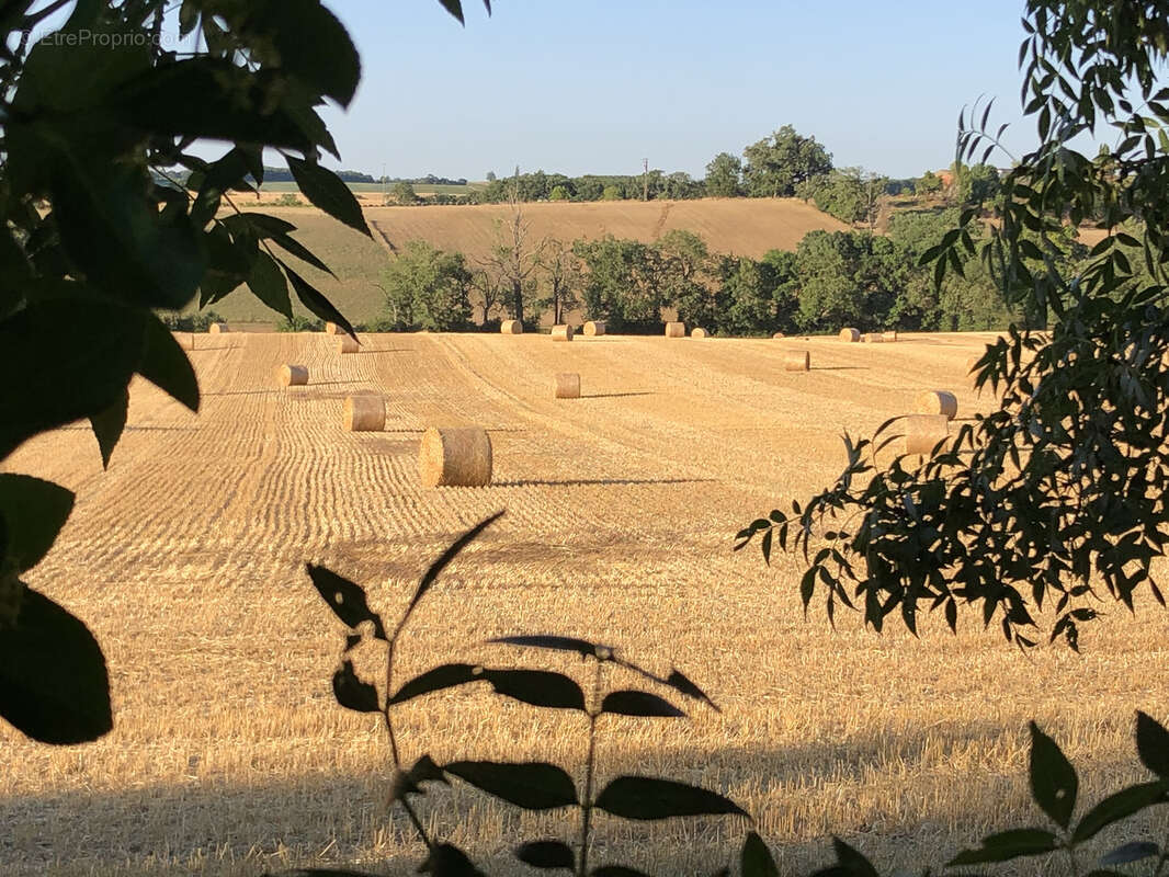 Maison de campagne avec dépendances - photo 19