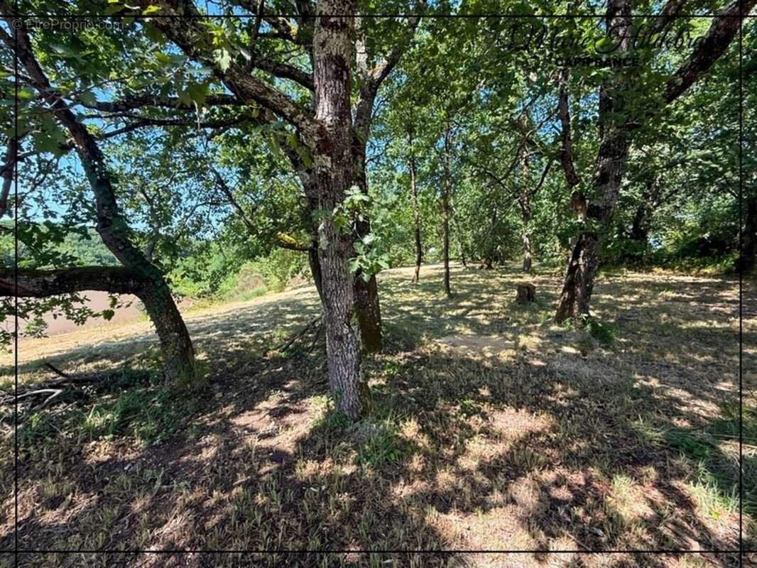 Ensemble de 2 Maisons - 8 pièces - 1hectare de terrain - à 5mn de Valence - photo 38
