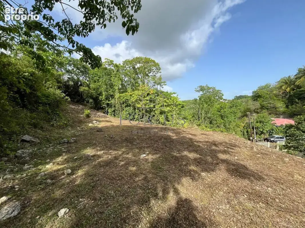 A vendre : terrain de 1072 m² au gosier (97190) - photo 8