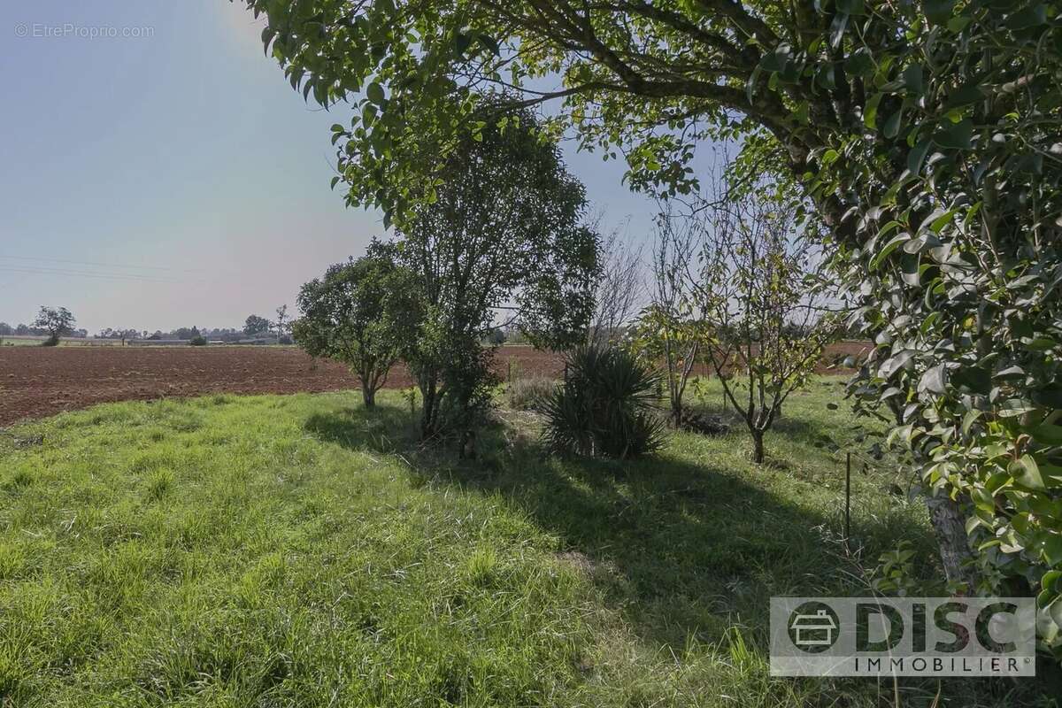 Maison à SAINT-ANTONIN-NOBLE-VAL