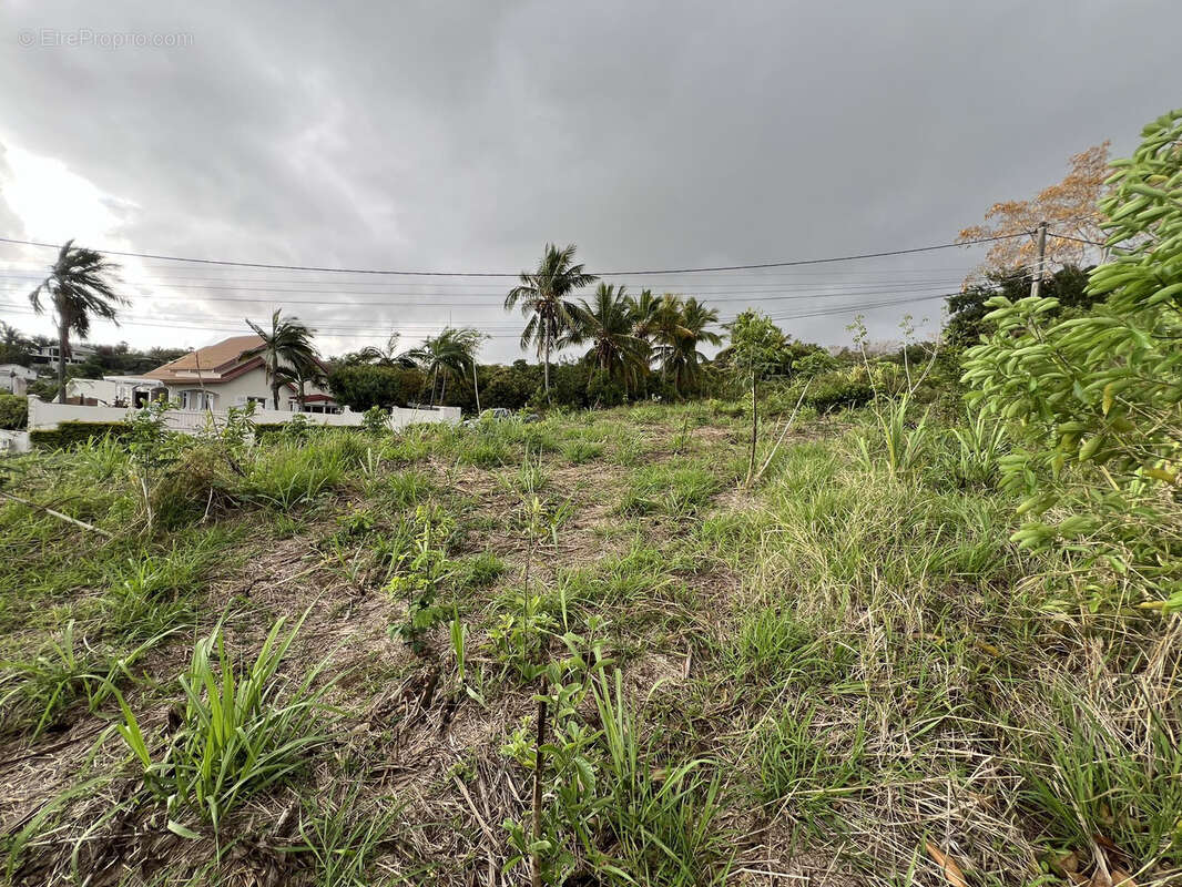 Terrain à SAINT-LOUIS