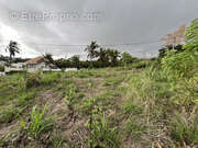 Terrain à SAINT-LOUIS